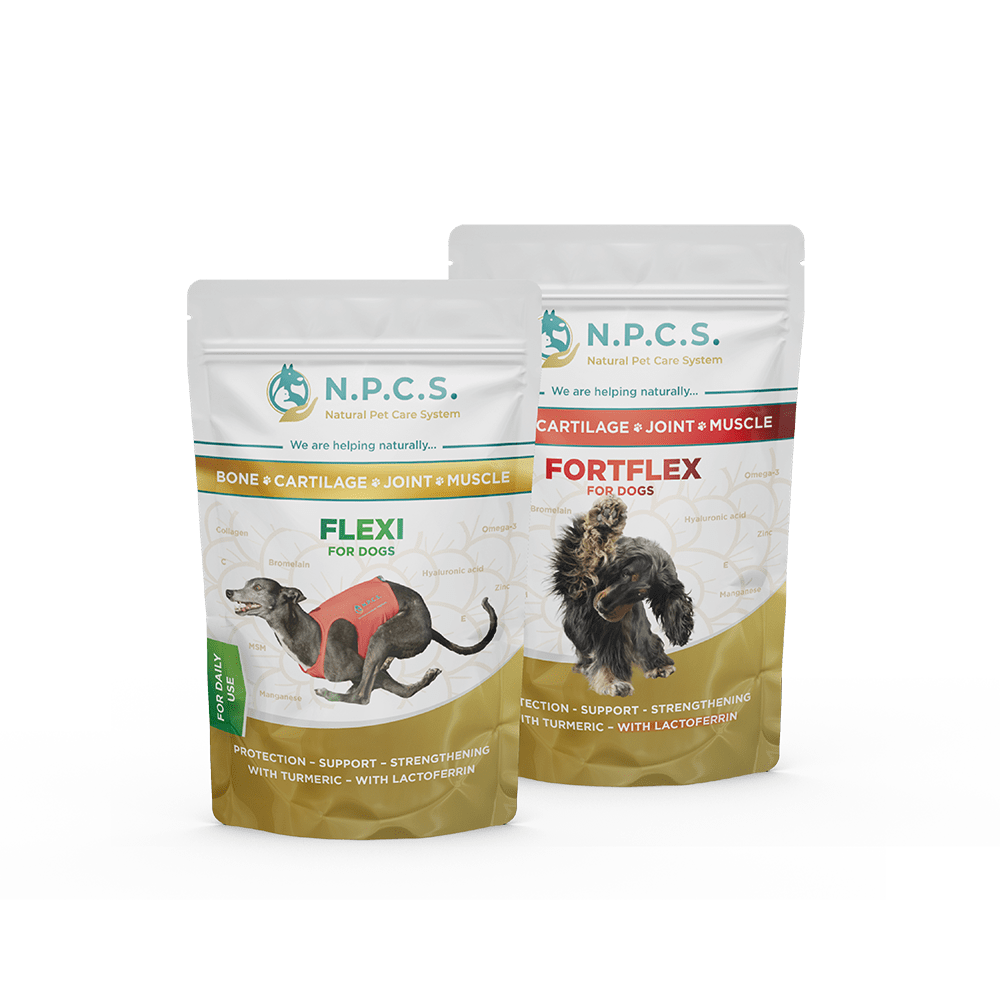 Knochen, Knorpel, Gelenke, Muskeln – Schutz – Unterstützung – Verstärkung