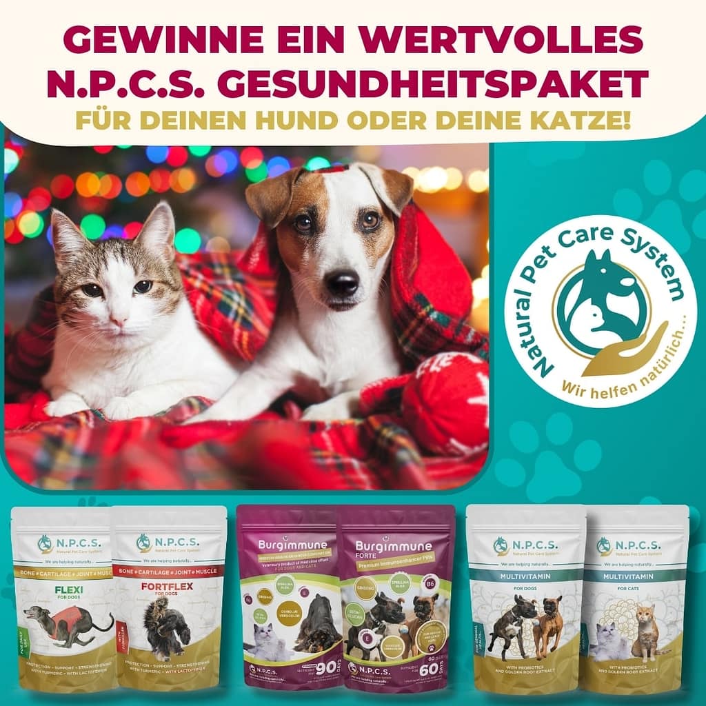 Festliches Facebook- und Instagram-Gewinnspiel