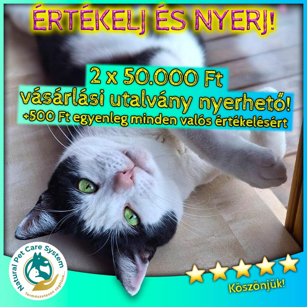 Értékelj és nyerj