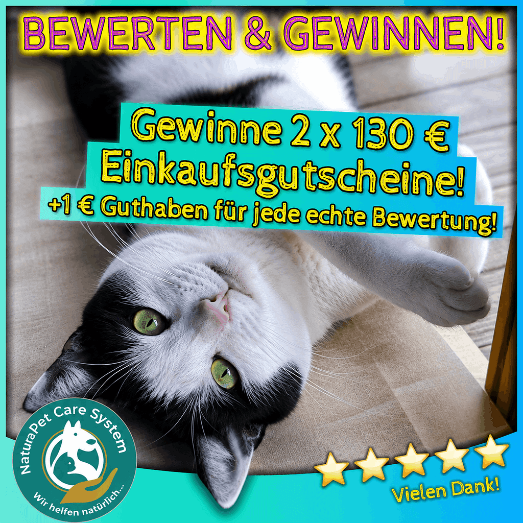 BEWERTEN UND GEWINNEN!