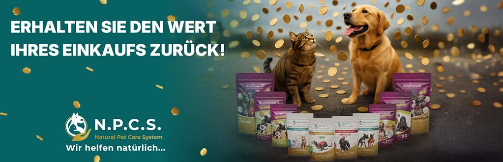 ERHALTEN SIE SICH DEN KAUFPREIS ZURÜCK!