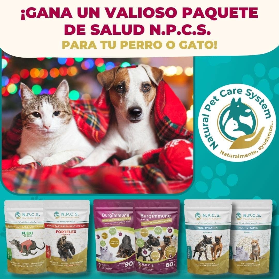Juego de premios navideño en Facebook e Instagram