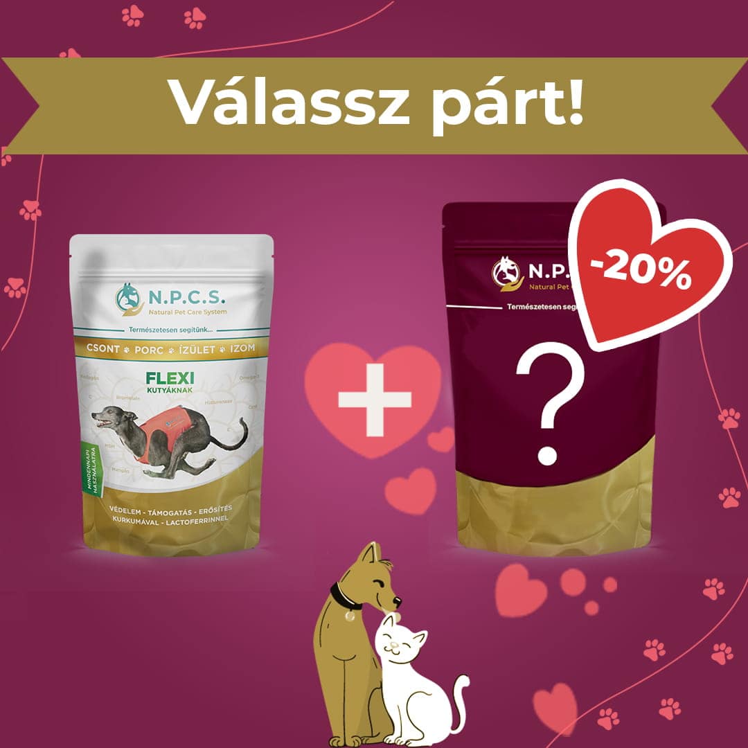 N.P.C.S. FLEXI - Válassz párt! csomag (20% kedvezmény a második termékre)