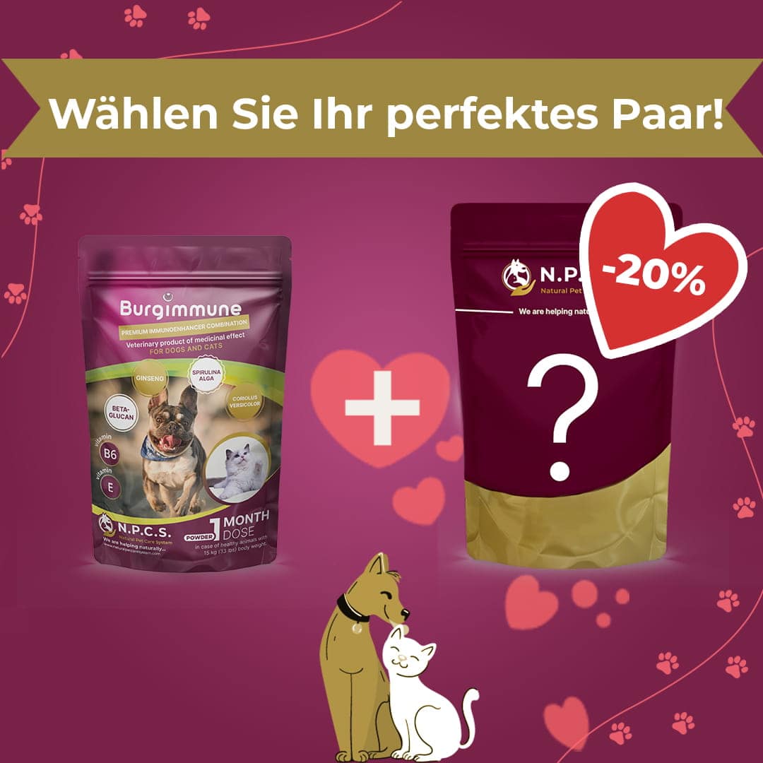 Burgimmune 1 Monatsdosis Pulver - Duo-Paket (20 % Rabatt auf das zweite Produkt)