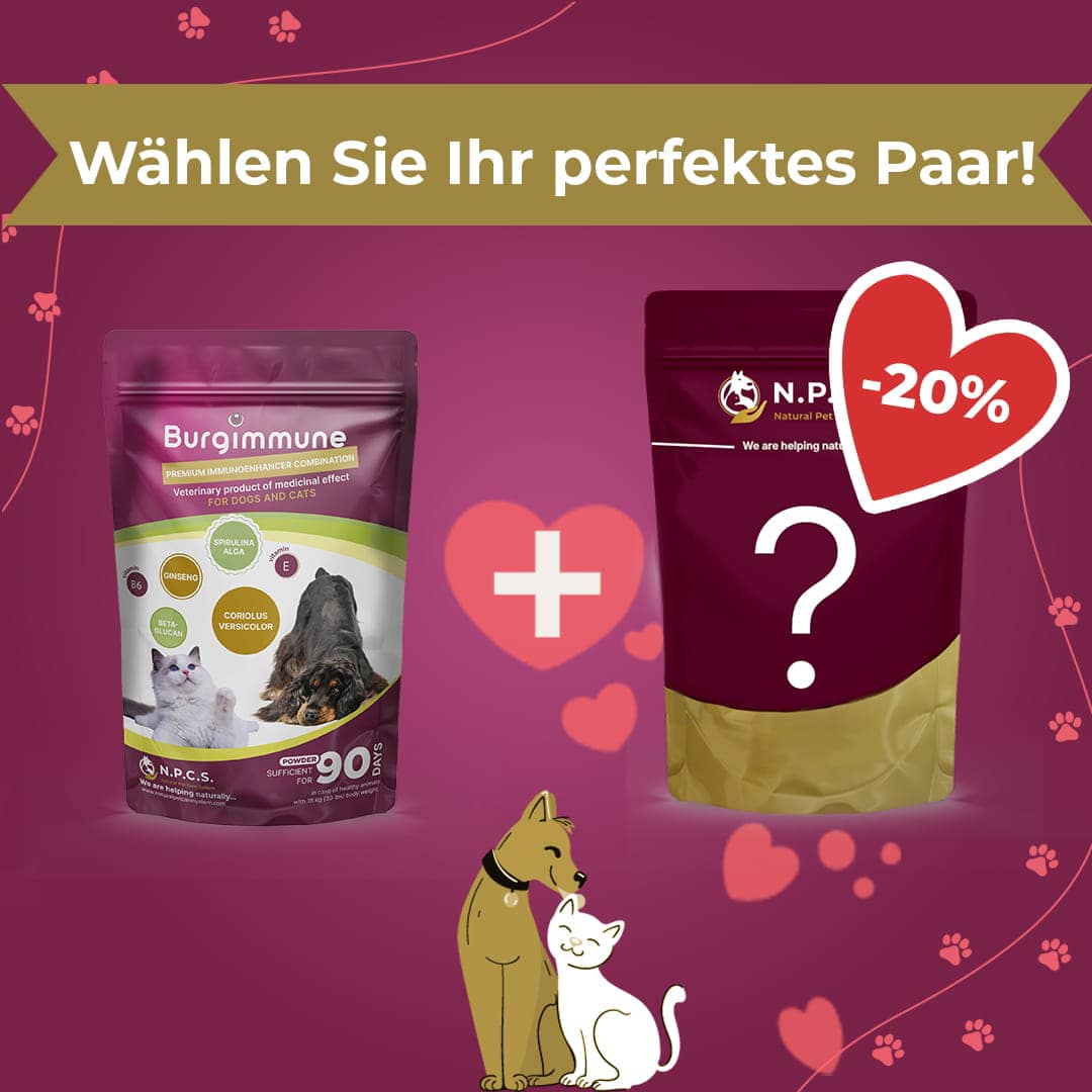 1 Packung Burgimmune Pulver, 135g - Duo-Paket (20 % Rabatt auf das zweite Produkt)