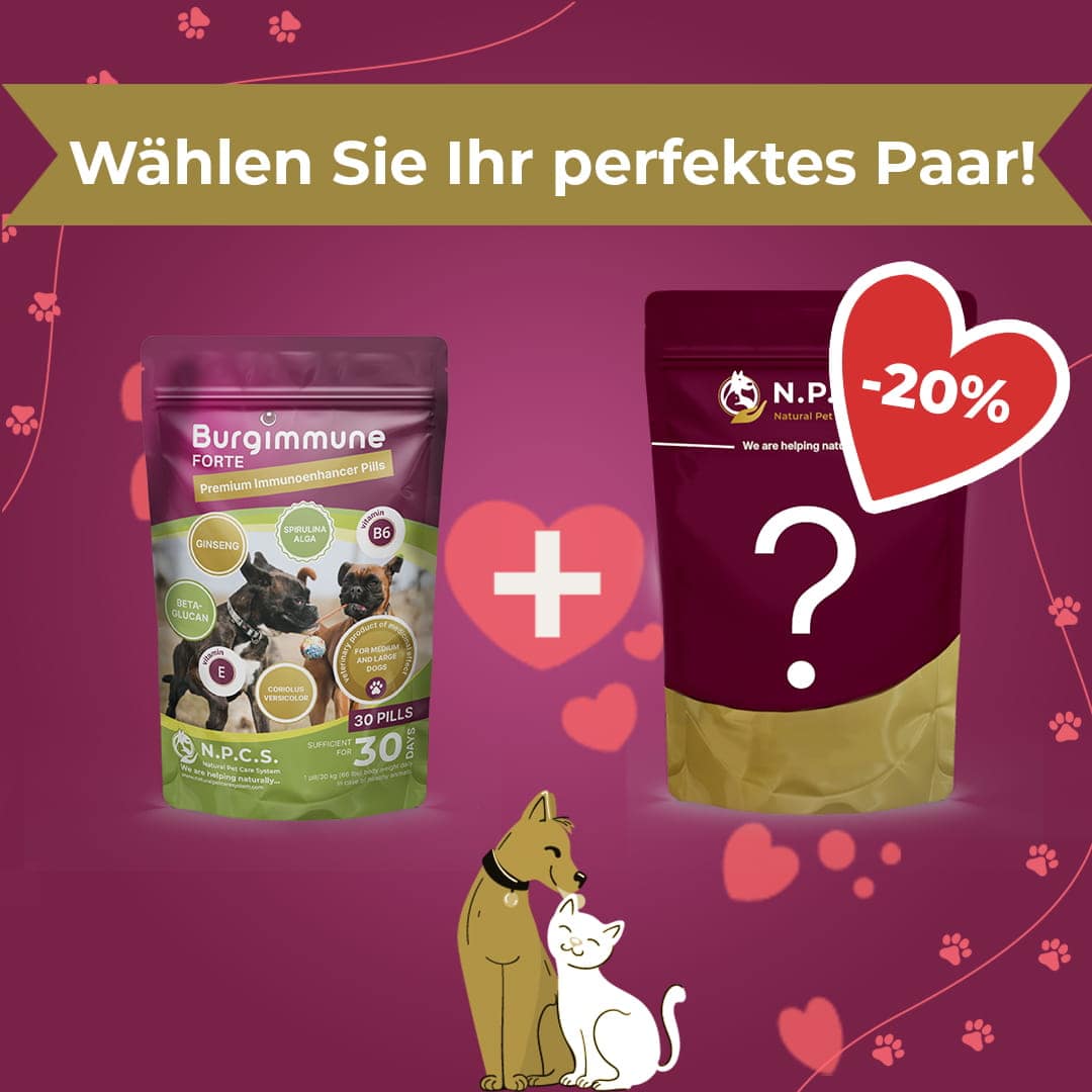 Burgimmune FORTE Tabletten (30 Stück) - Duo-Paket (20 % Rabatt auf das zweite Produkt)