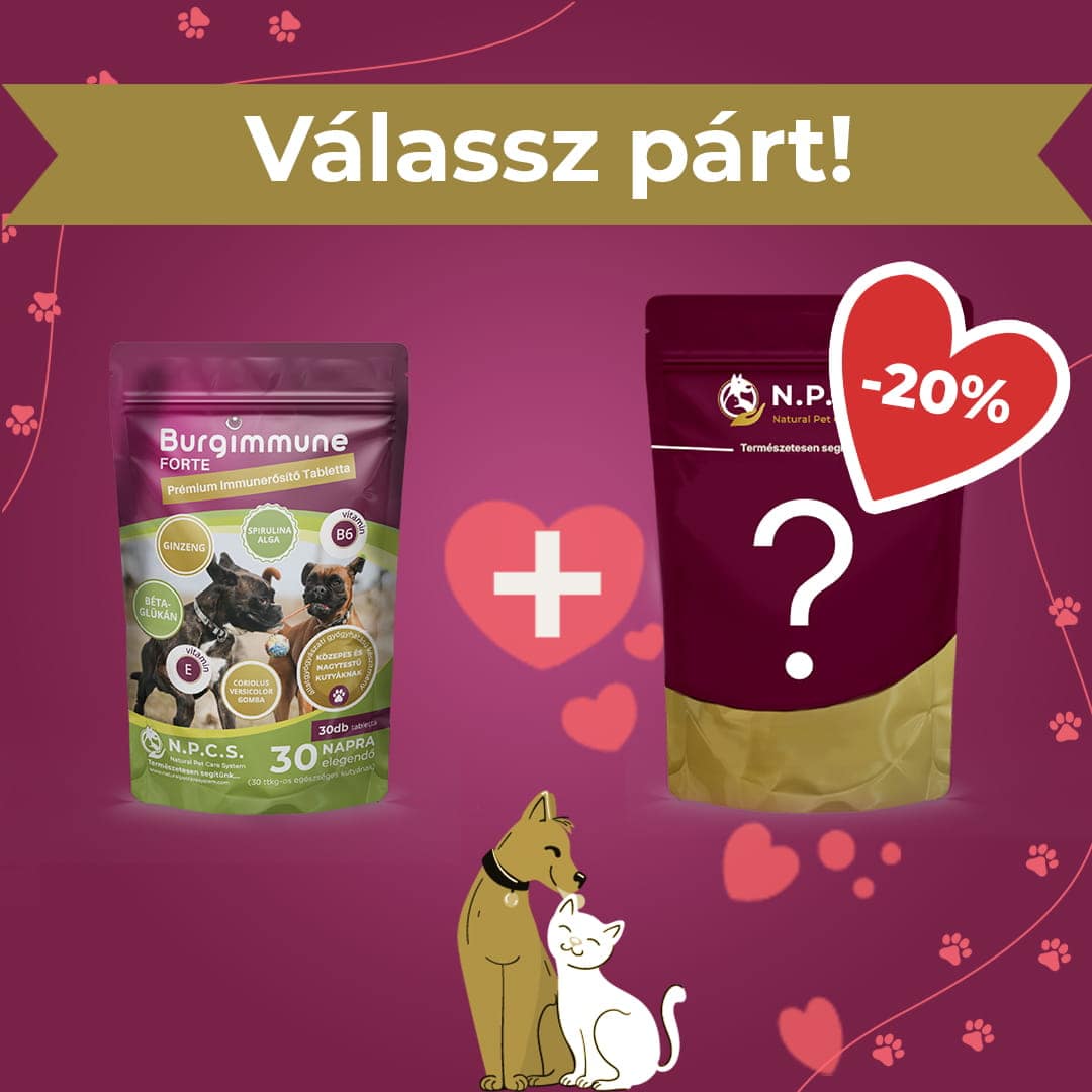 Burgimmune FORTE Tabletta (30db) - Válassz párt! csomag (20% kedvezmény a második termékre)