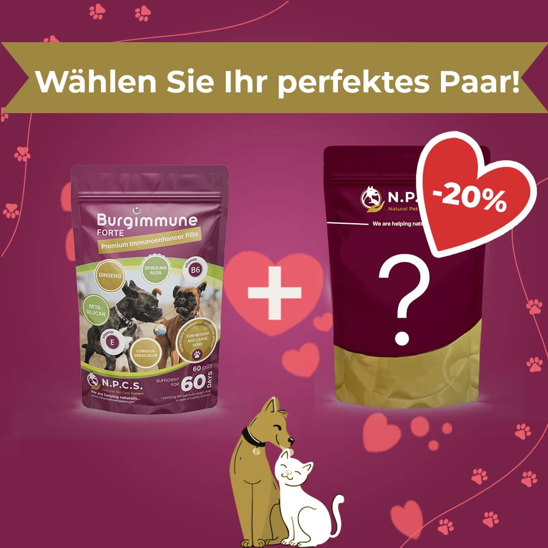 Burgimmune FORTE Tabletten (60 Stück) - Duo-Paket (20 % Rabatt auf das zweite Produkt)