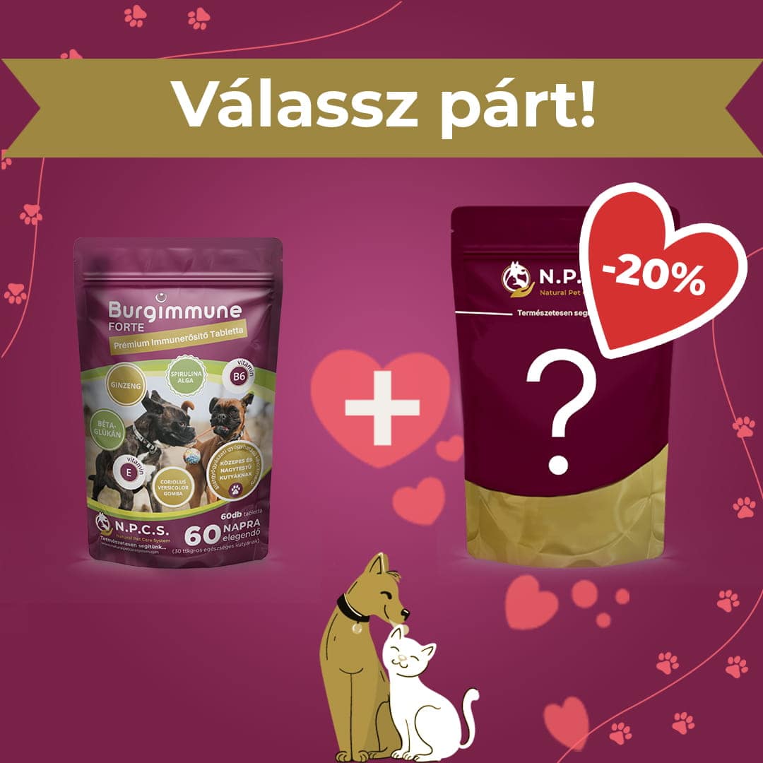 Burgimmune FORTE Tabletta (60db) - Válassz párt! csomag (20% kedvezmény a második termékre)