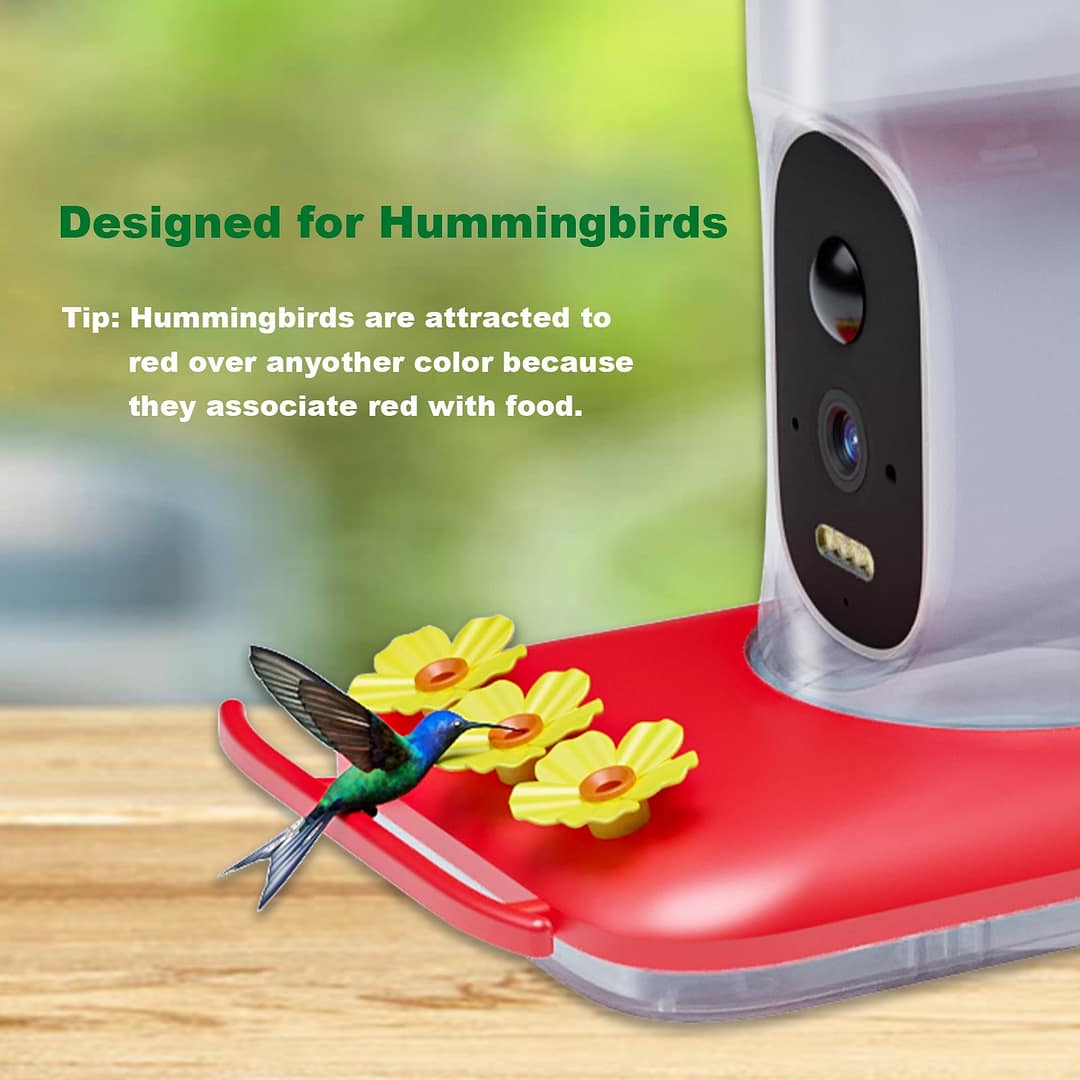 Intelligent Visual Hummingbird Water Feeder 5MP Pixel Outdoor HD - Image 4