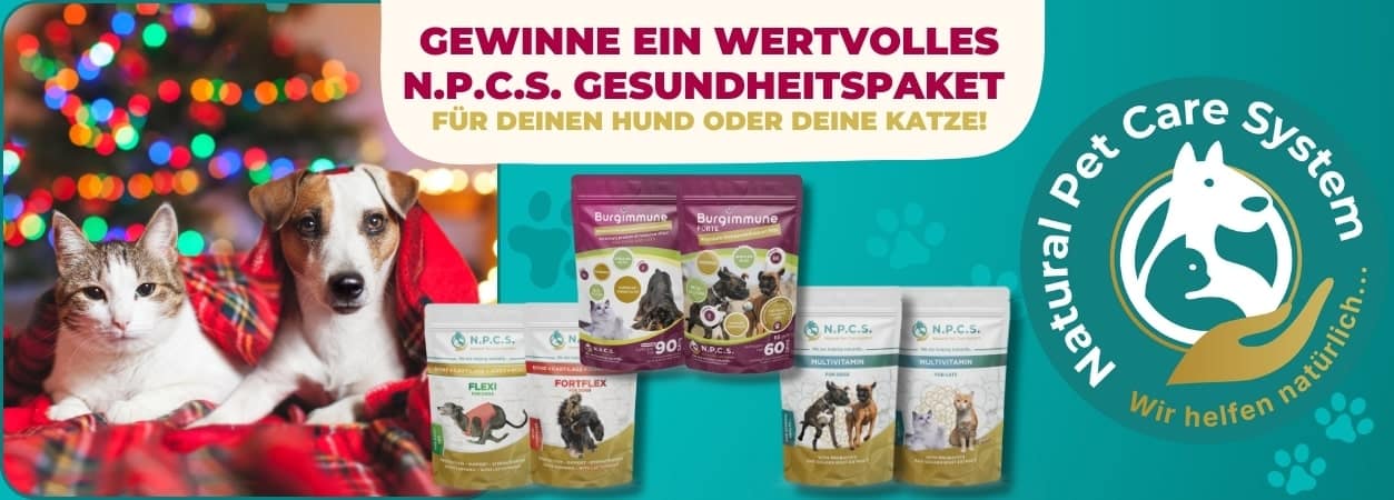 Festliches Facebook- und Instagram-Gewinnspiel