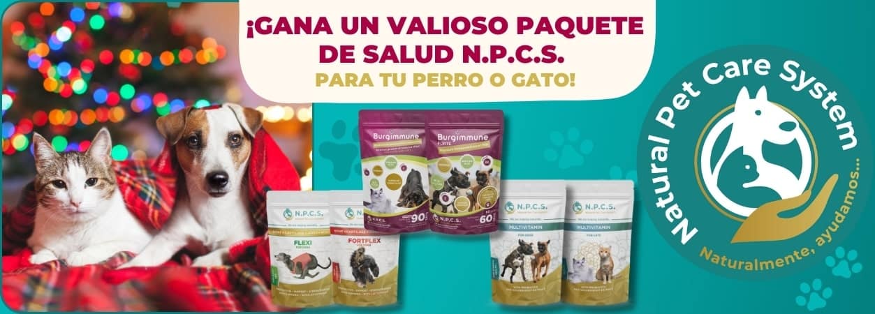 Juego de premios navideño en Facebook e Instagram
