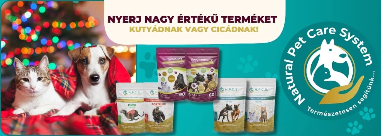 Ünnepi fotópályázat