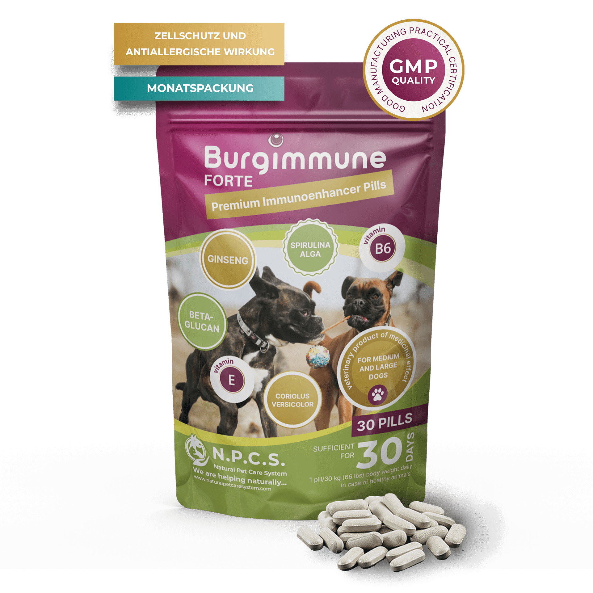 Burgimmune FORTE Tabletten (30 Stück)