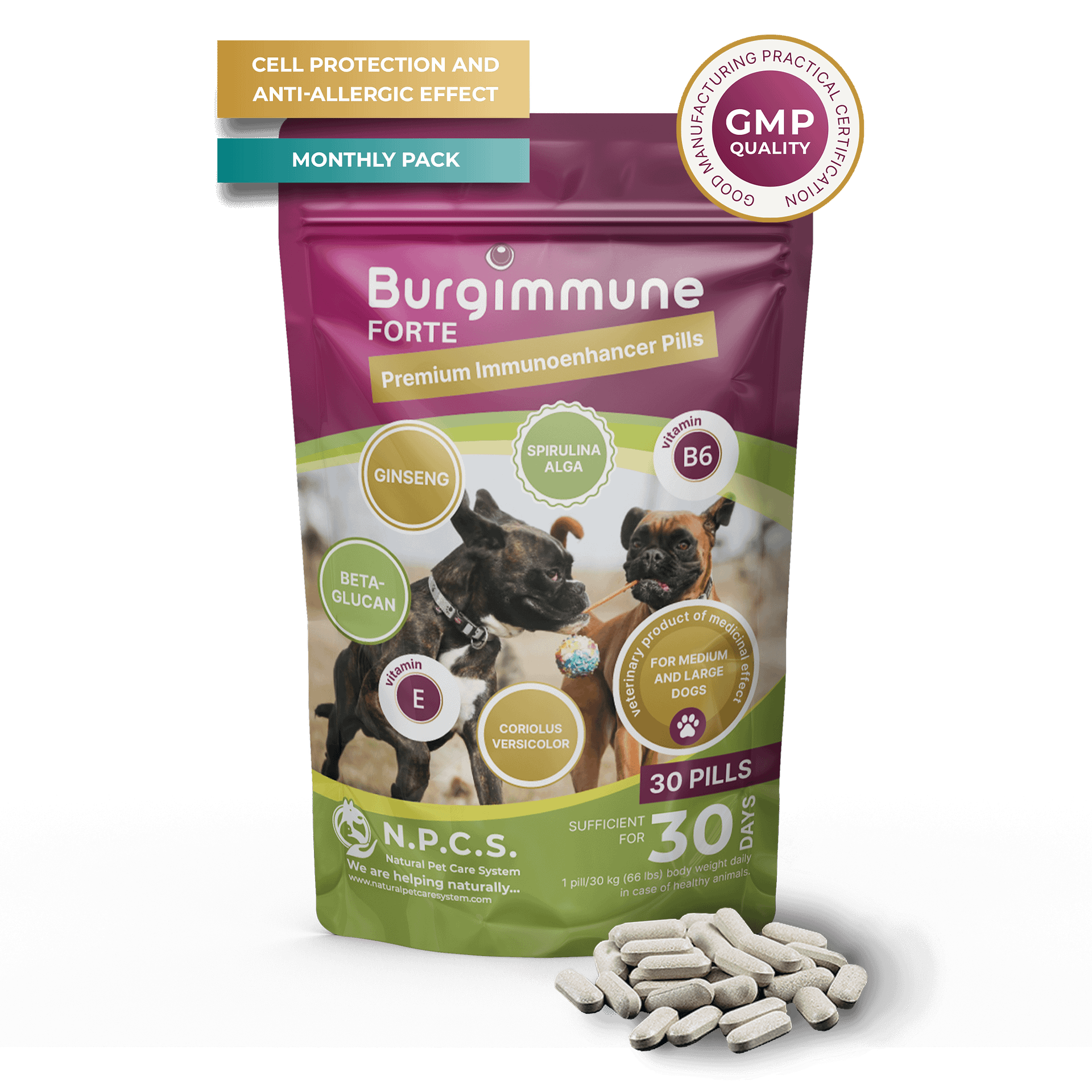 Burgimmune FORTE Pills (30 pills)