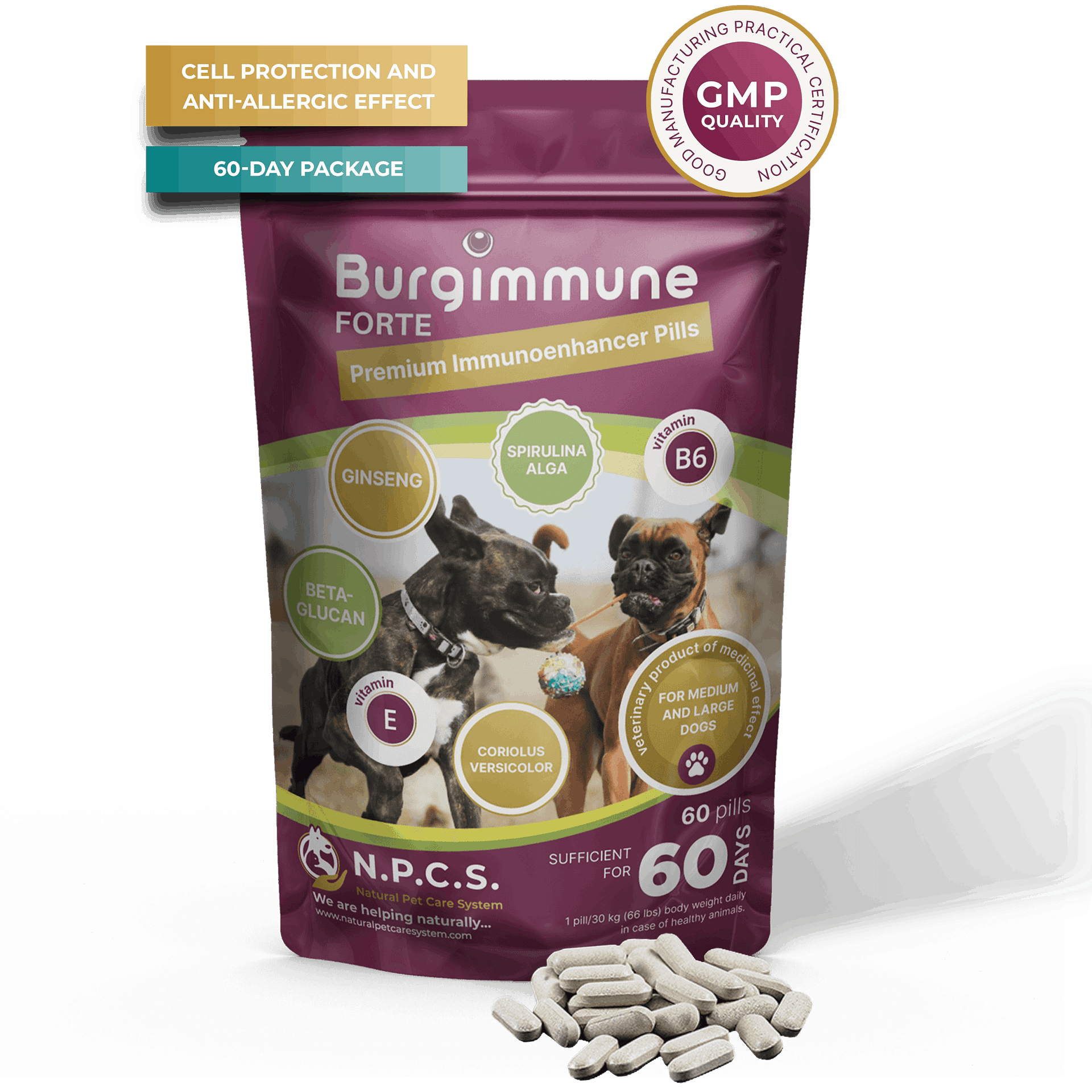 Burgimmune FORTE Pills (60 pills)