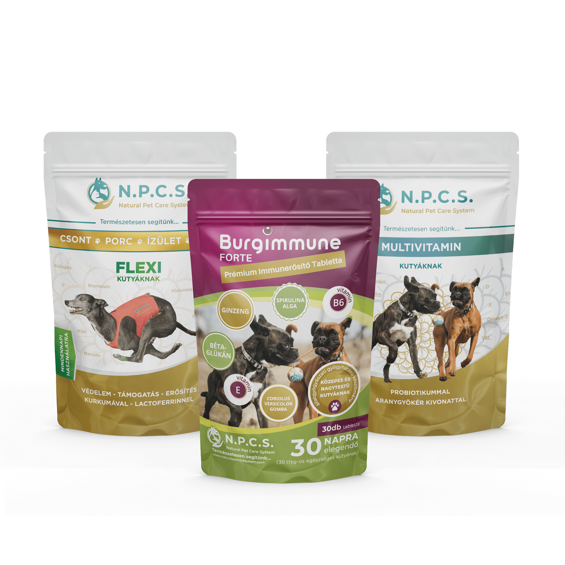 1 havi adag Burgimmune por + Natural Pet Care System Multivitamin Kutyáknak + N.P.C.S. FLEXI