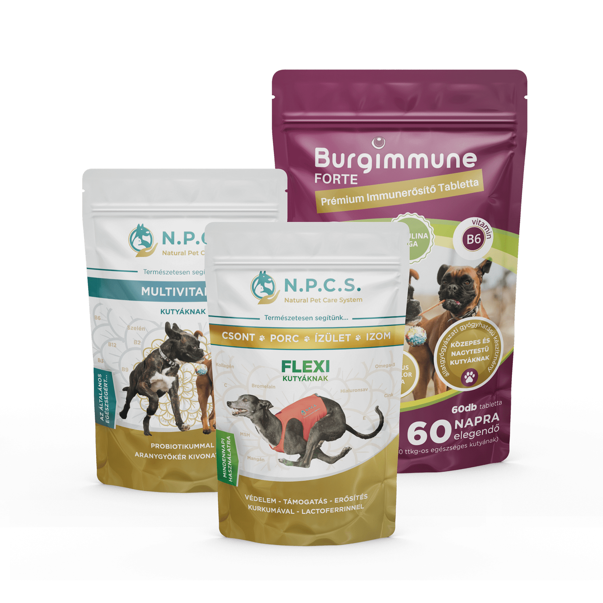 Burgimmune FORTE Tabletta (60db) + Natural Pet Care System Multivitamin Kutyáknak + N.P.C.S. FLEXI