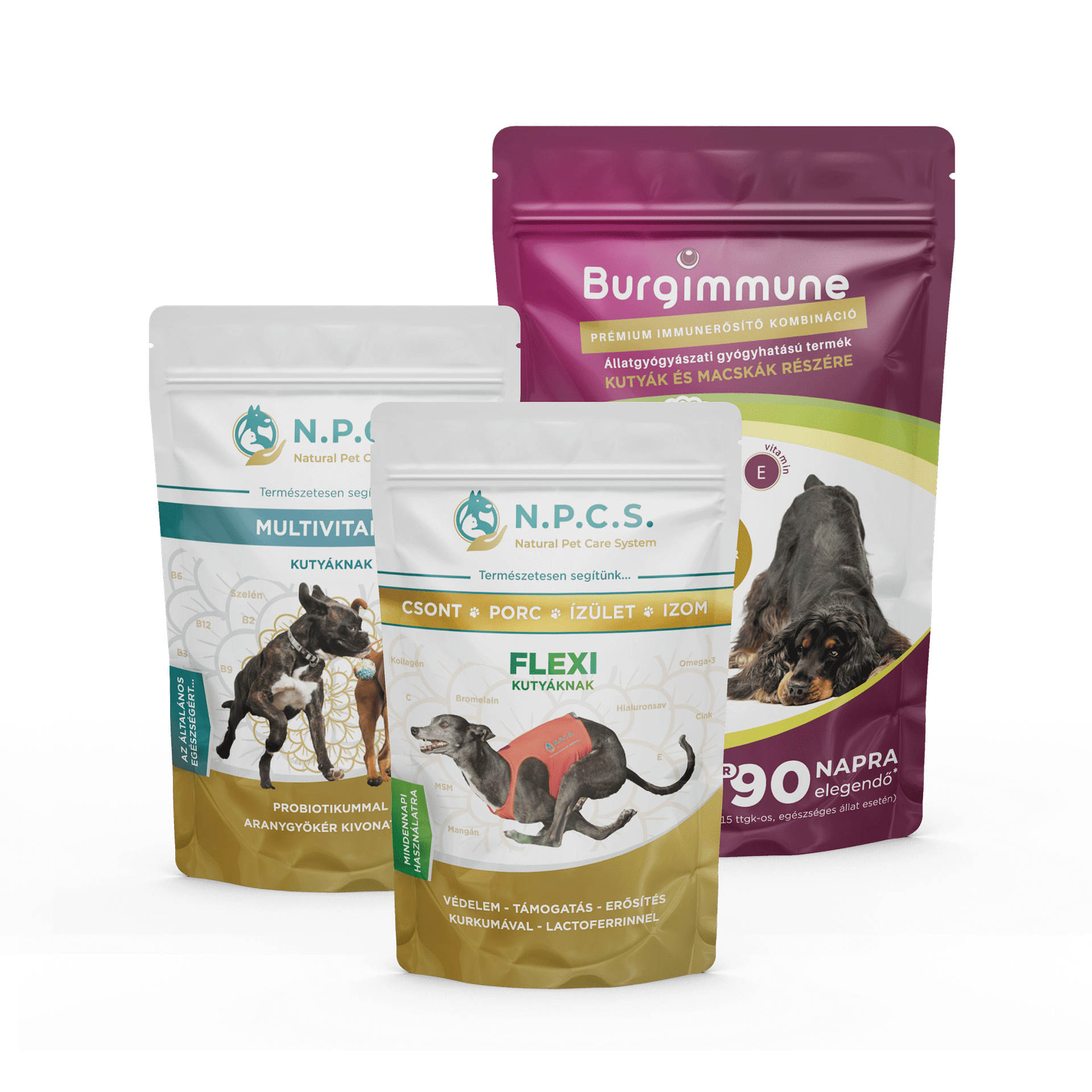 1 doboz Burgimmune por (90napra) + Natural Pet Care System Multivitamin Kutyáknak + N.P.C.S. FLEXI