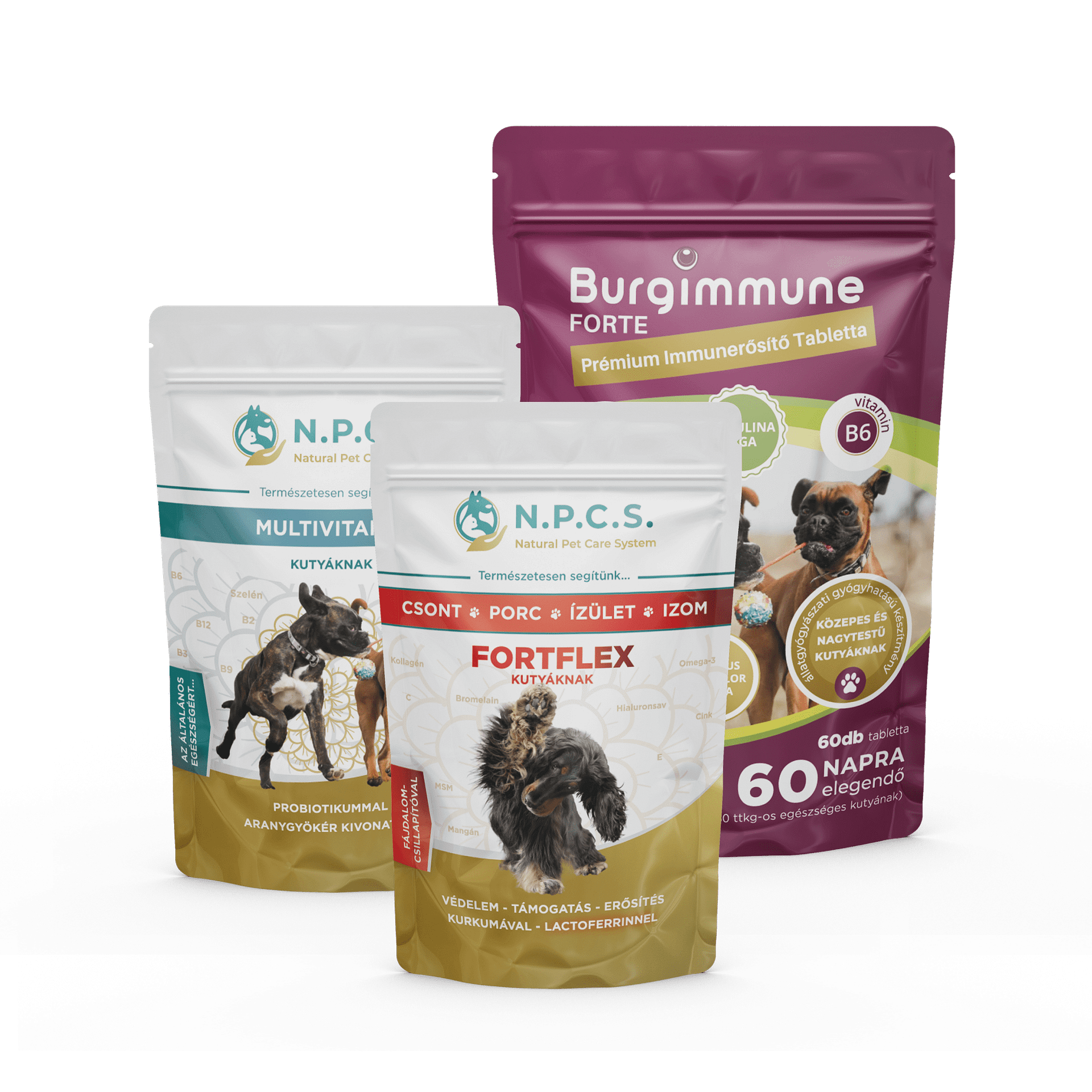 Burgimmune FORTE Tabletta (60db) + Natural Pet Care System Multivitamin Kutyáknak + N.P.C.S. FORTFLEX