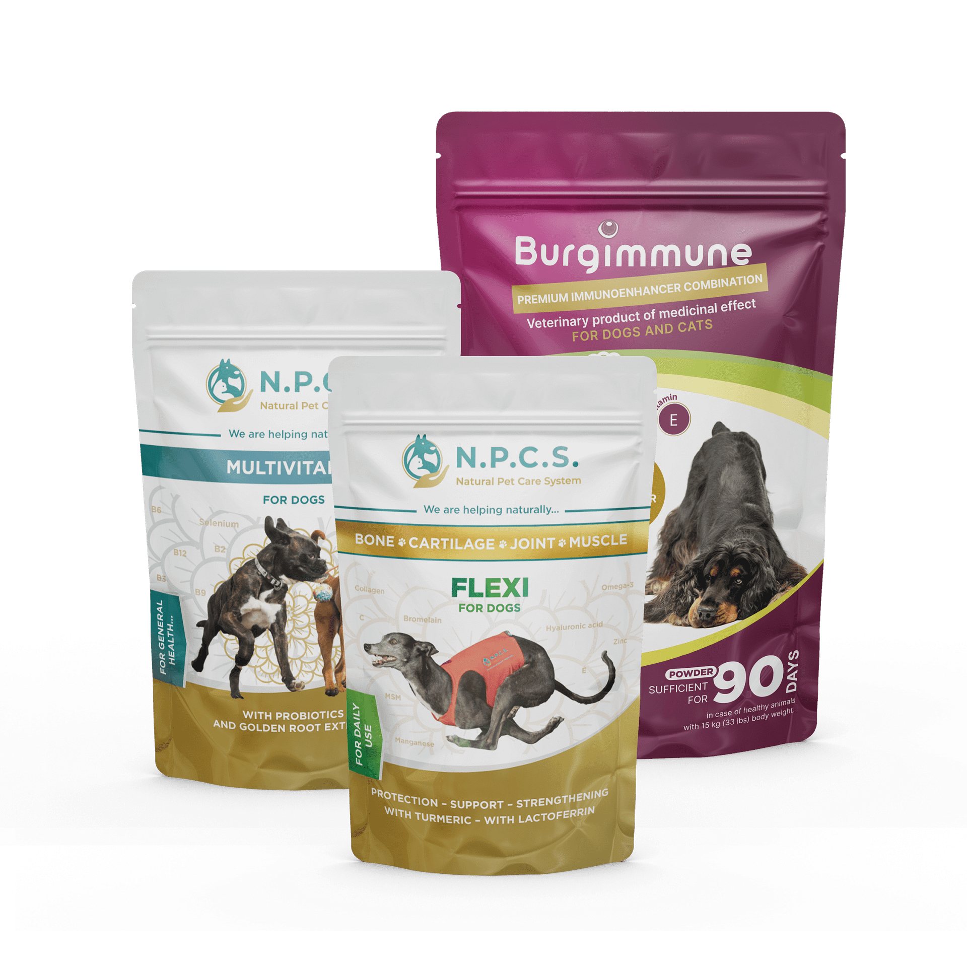 1 Packung Burgimmune Pulver + Natural Pet Care System Multivitamin Für Hunde + N.P.C.S. FLEXI