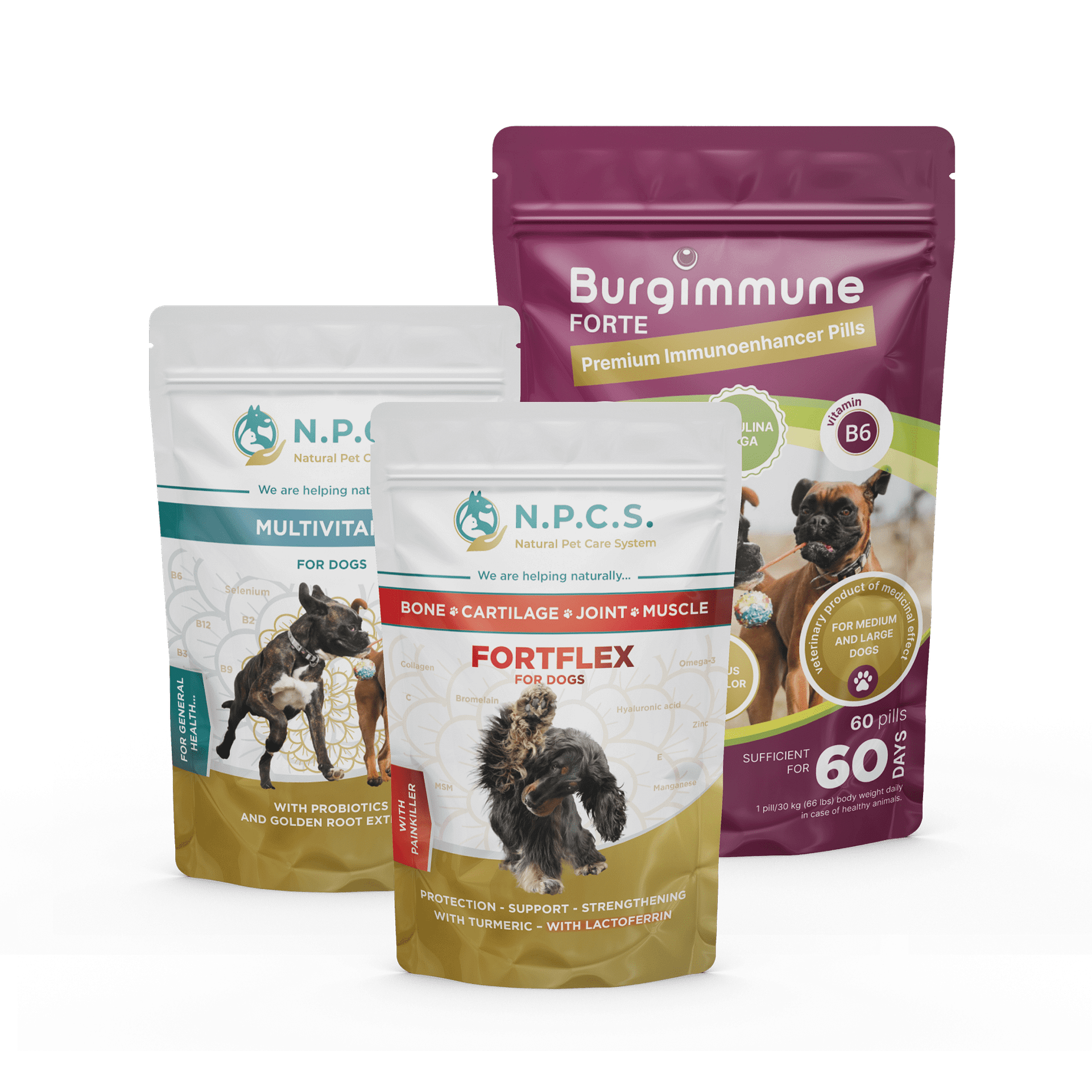 Burgimmune FORTE Pills (60 pills) + Natural Pet Care System Multivitamin For dogs + N.P.C.S. FORTFLEX