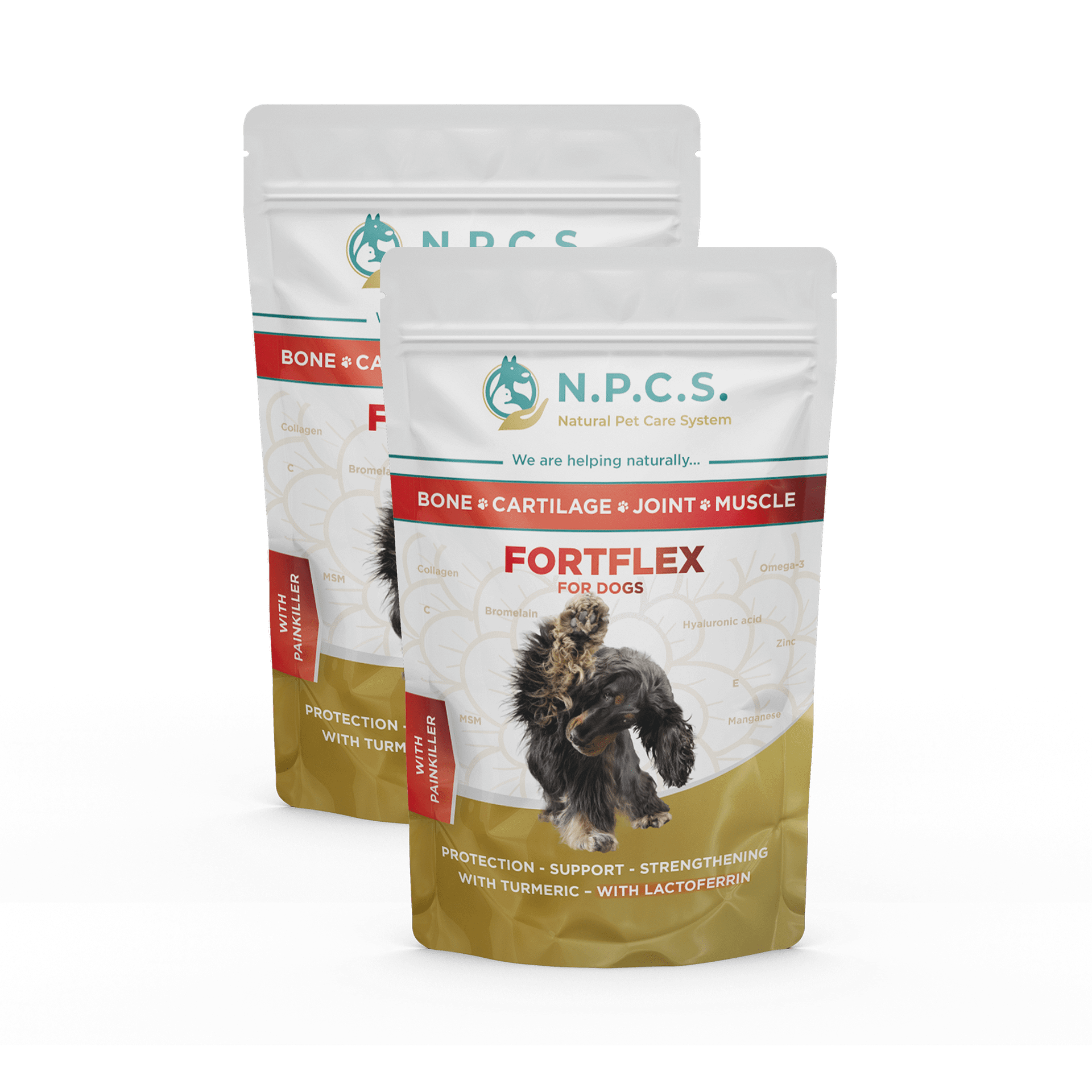 2 stück N.P.C.S. FORTFLEX (powder)