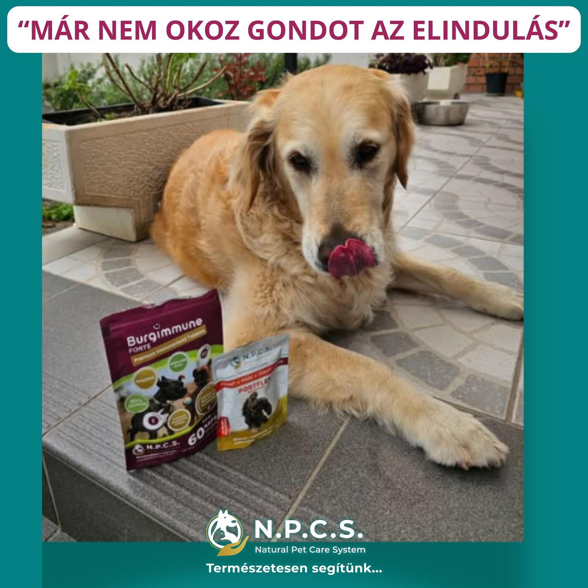 A szeretet legjobb formája a gondoskodás