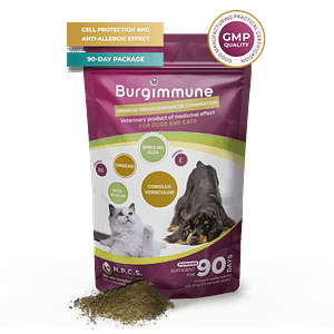 Burgimmune powder (for 90 days), 135g
