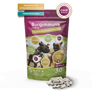 Burgimmune FORTE Tabletten (30 Stück)