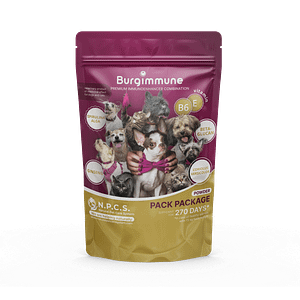 Burgimmune powder - Pack Package (270 -day supply)