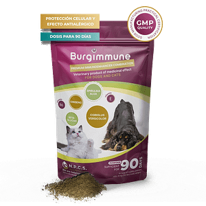 Burgimmune en polvo (para 90 días), 135g