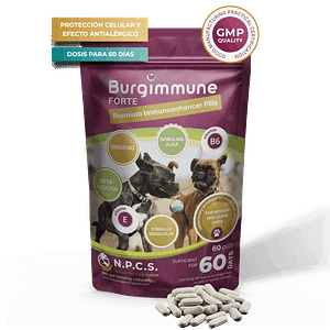 Burgimmune FORTE Comprimidos (60 unidades)