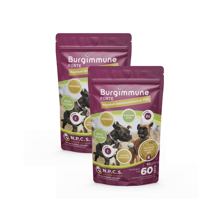 2 Stück Burgimmune FORTE Tabletten (60 Stück)