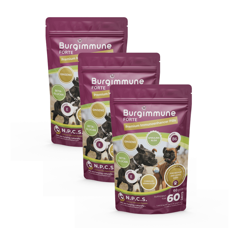 3pcs Burgimmune FORTE Pills (60 pills)